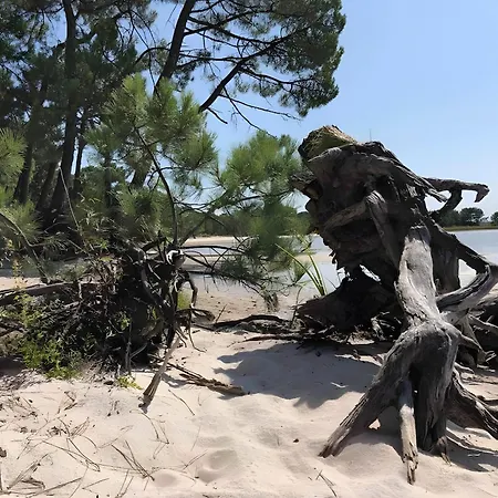 Jacuzzi Entre Et Ocean Casa de Férias La Teste-de-Buch