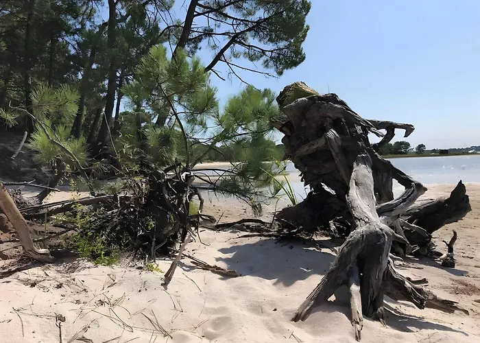 Jacuzzi Entre Et Ocean Ferienhaus La Teste-de-Buch